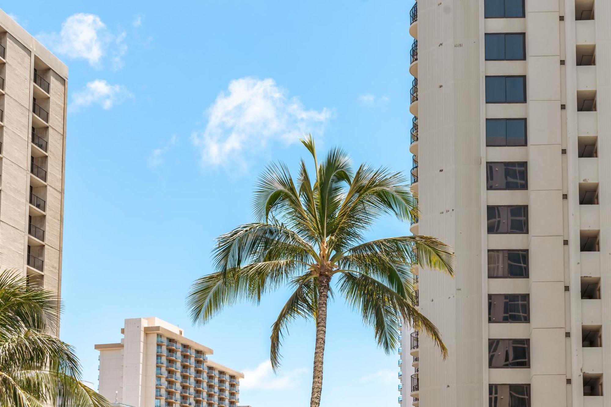 Waikiki Banyan 1Br With Great Ocean Views, Steps To Beach & Parking! هونولولو المظهر الخارجي الصورة