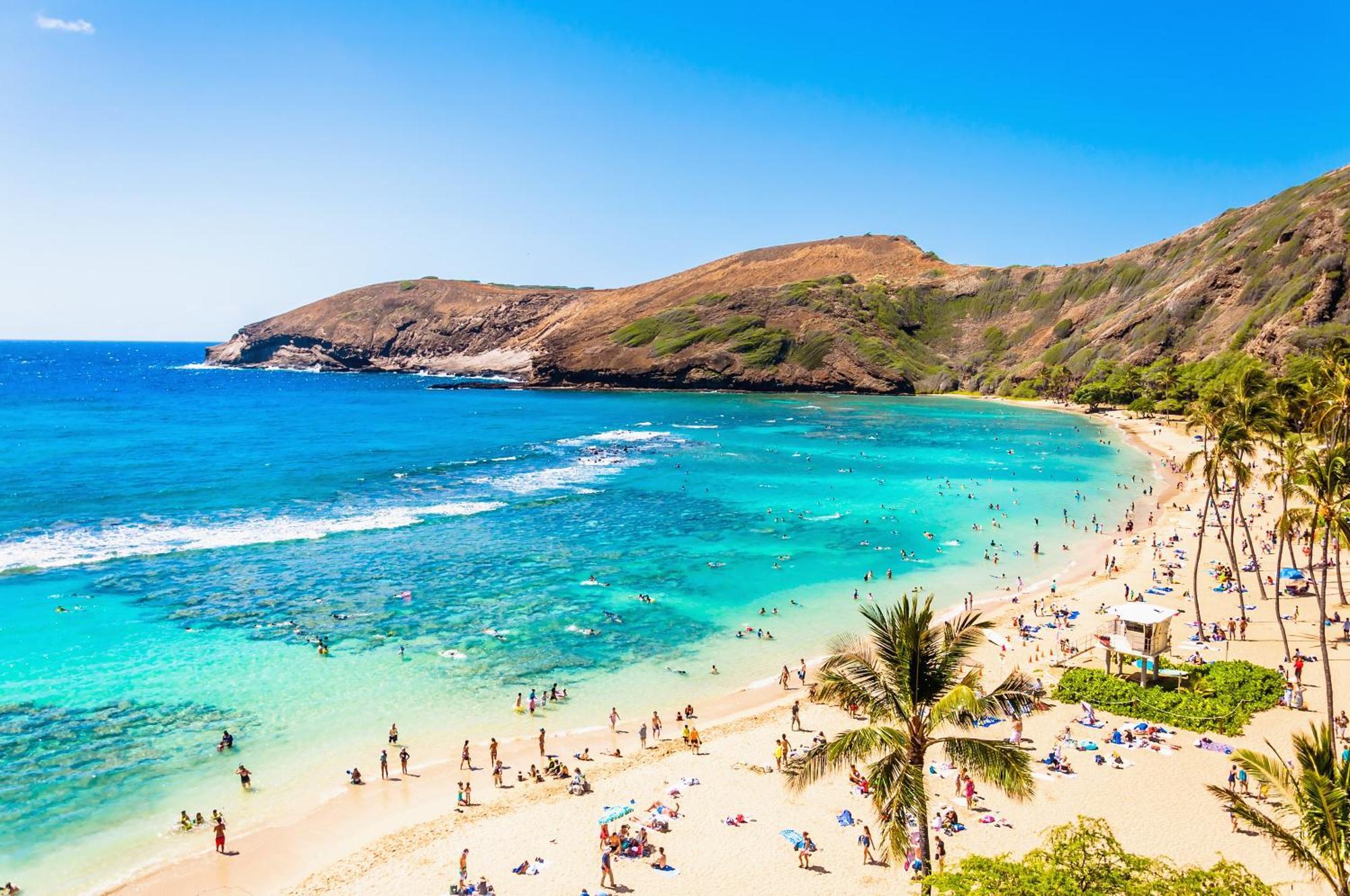 Waikiki Banyan 1Br With Great Ocean Views, Steps To Beach & Parking! هونولولو المظهر الخارجي الصورة
